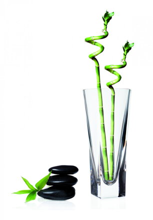 Fusion VV RCR Vaso 300 Vase, 1pc, h: 300mm, (23717020006)